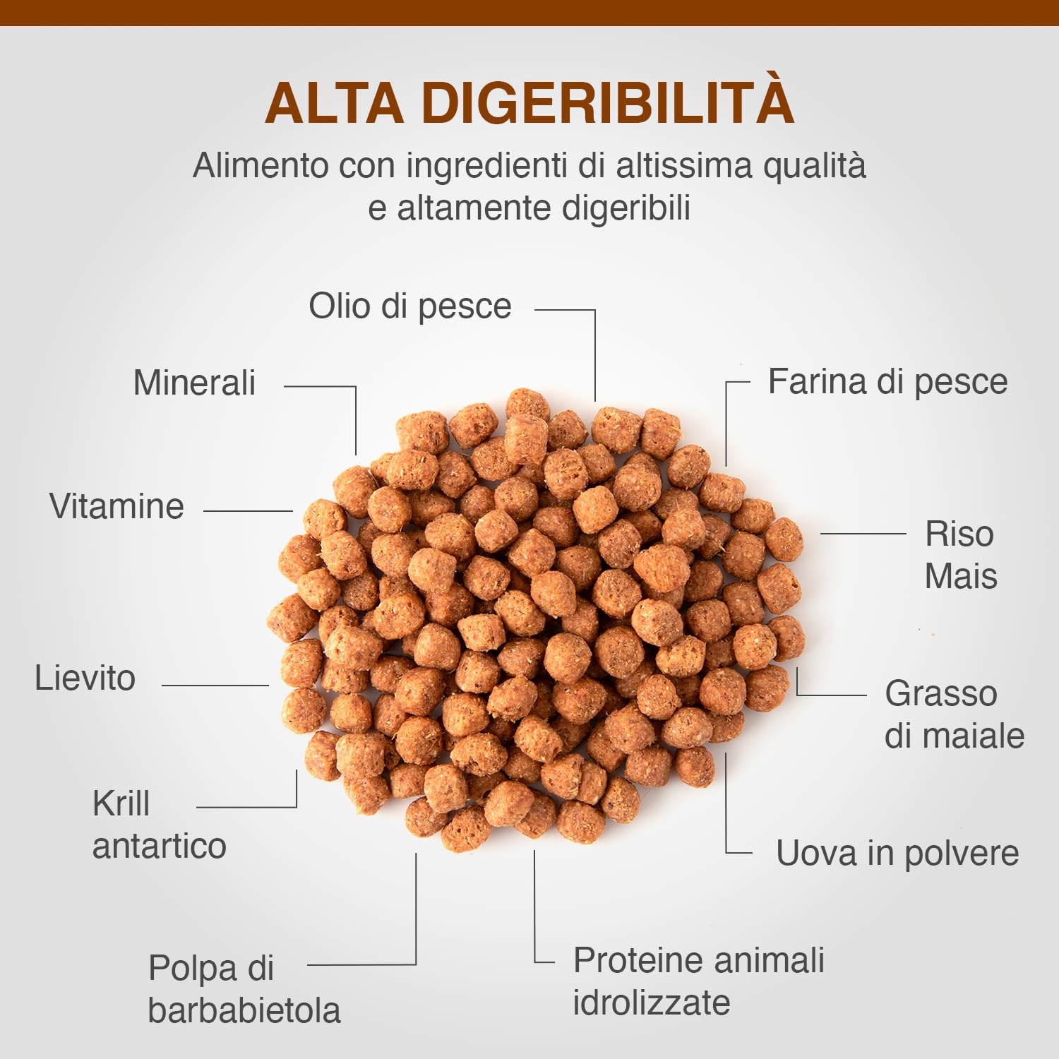 Specific - Croquettes pour Chiens CID Digestive Support - Sac De 7 Kg