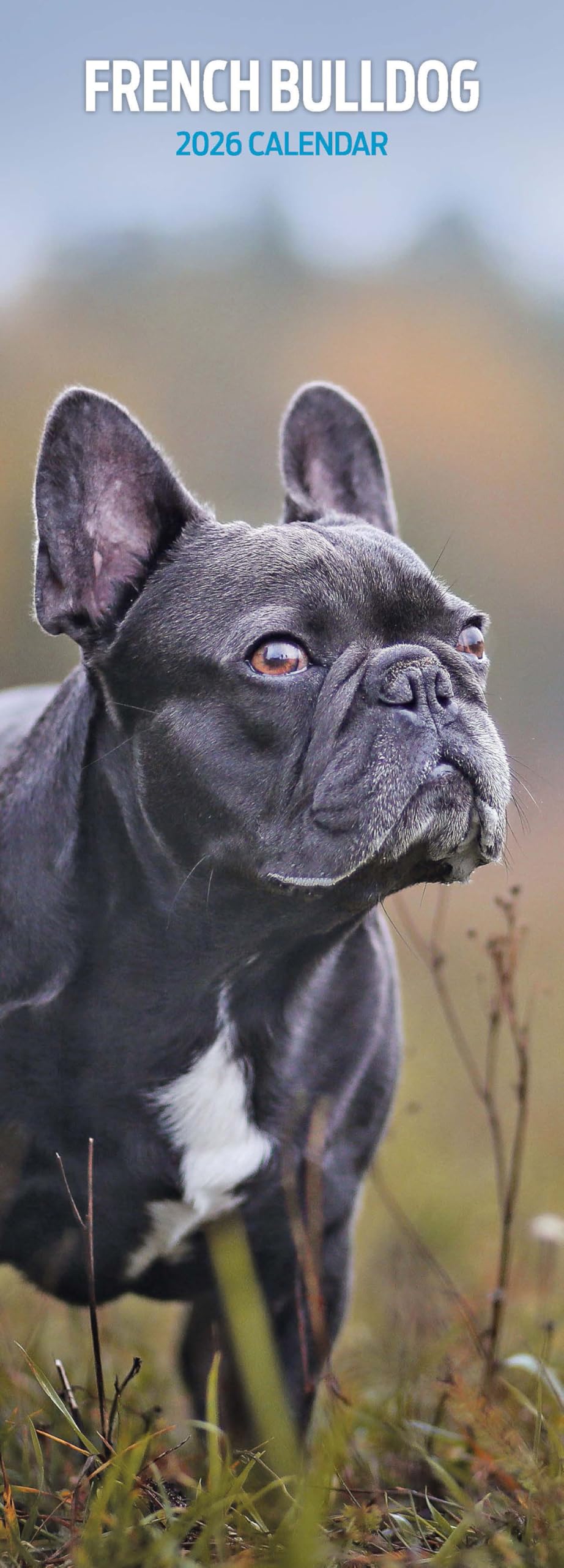 French Bulldog 2026 Slim Calendar