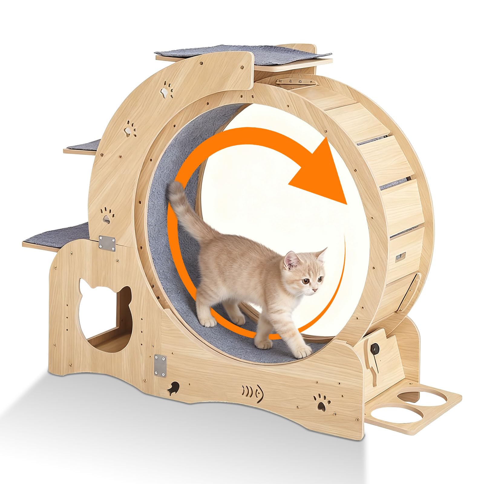 Amazon.co.jp: PAKESI キャットホイール 猫おもちゃ 回し車 猫ひとり 