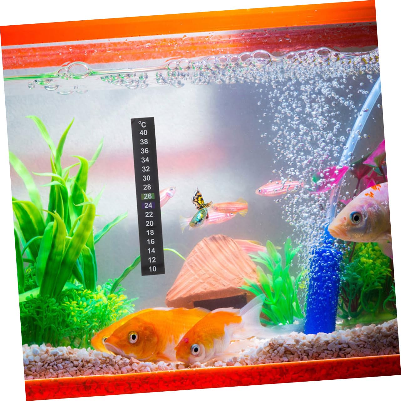 12 pièces Autocollants Thermomètre pour Aquarium Thermomètre Digital à Coller Aquarium Poissons Température pour Eau Fish Tank