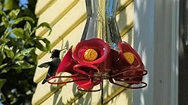 Review Image by JerryInLodi JerryInLodi