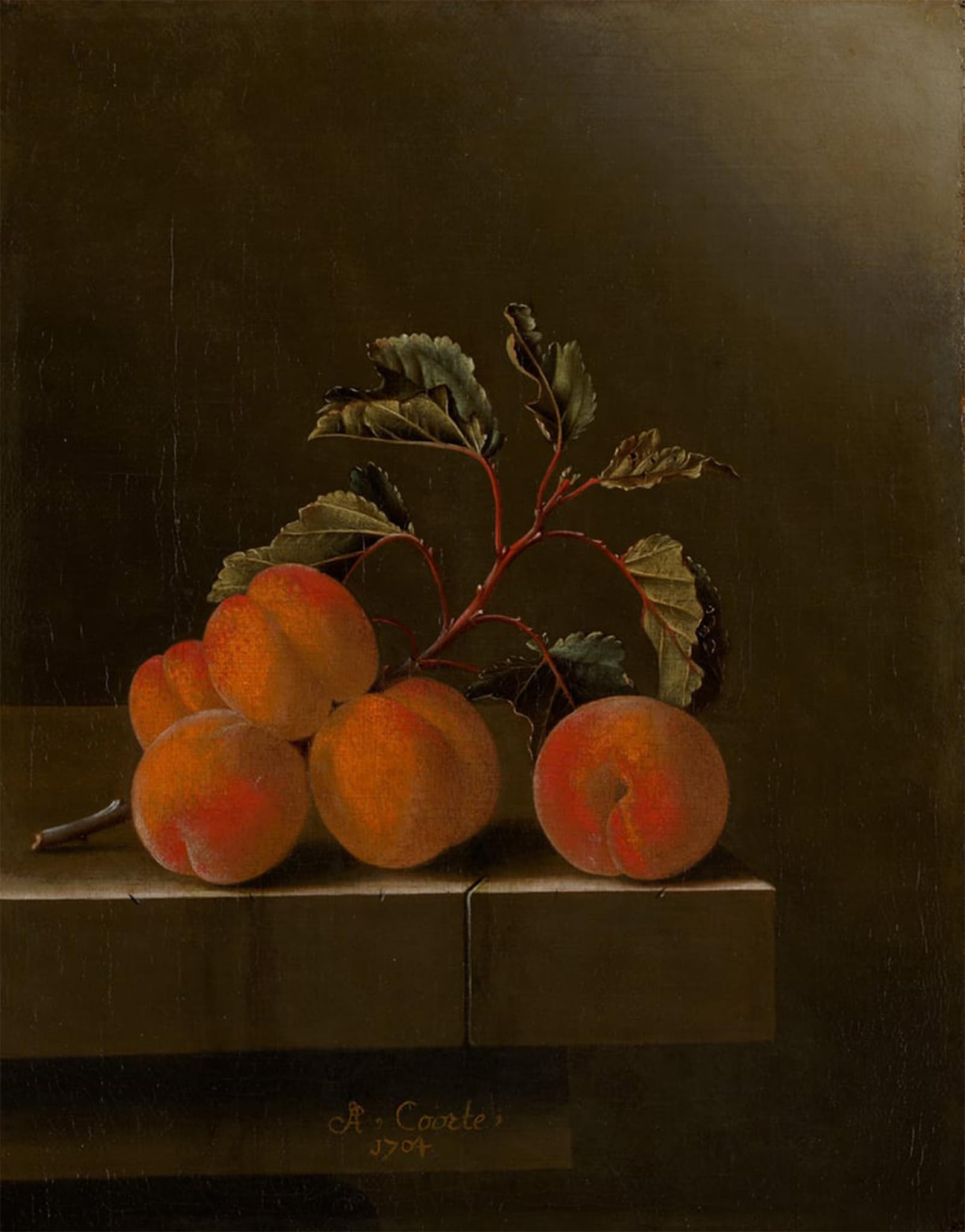 POSTERIIk Vintage Classic Picture Landscape Artwork Still Life with Five Apricots by Adrian Coorte Portrait Canvas Painting for Office Home Decor 60x90cm