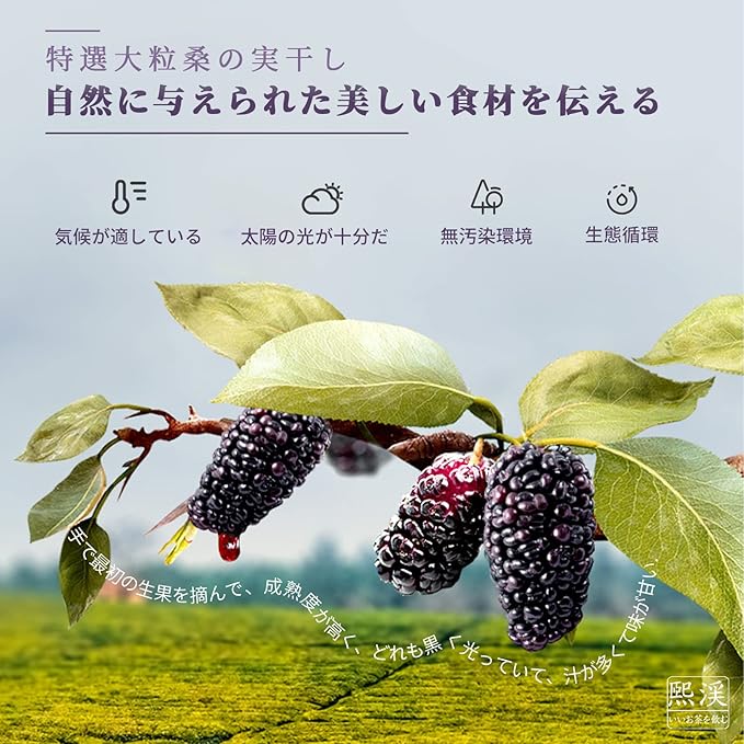 Amazon 煕渓 桑の実 桑葚幹 280g 140g 2 乾燥 黒桑の実 フルーツティー 花茶 食材 ノンカフェイン 無添加 煕渓 ハーブティー 通販 Amazon 煕渓 桑の実 桑葚幹 280g 140g 2 乾燥 黒桑の実 フルーツティー 花茶 食材 ノンカフェイン 無添加 煕渓 ハーブティー 通販