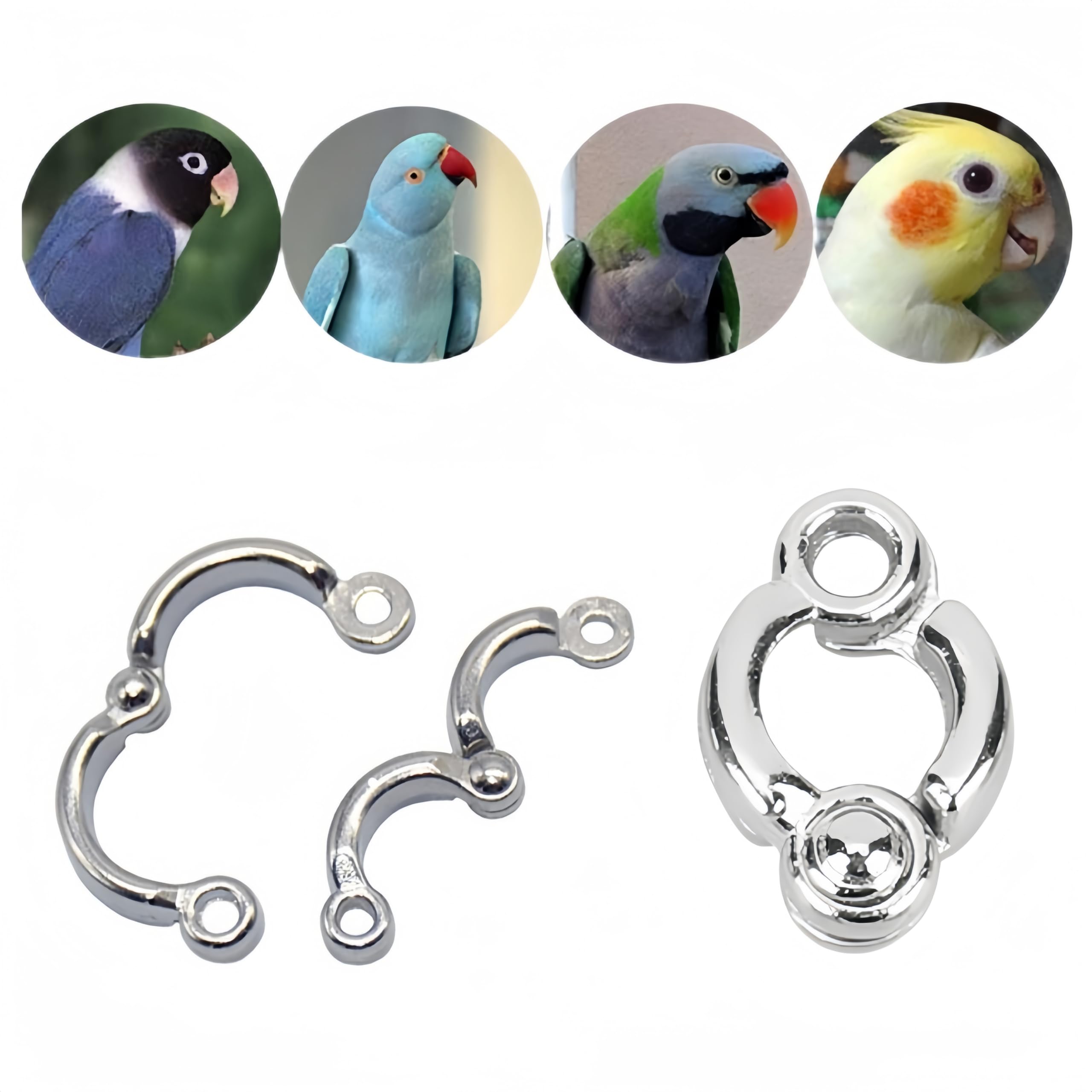 Lot de 6 anneaux pour pattes de perroquet, anneau de perroquet pour pieds d'oiseau d'ouverture d'activités de formation