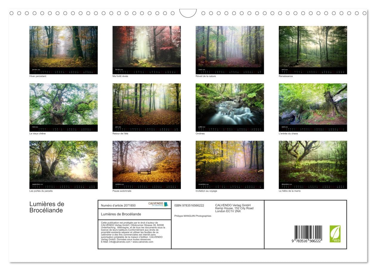 Lumières de Brocéliande (Calendrier mural 2026 DIN A3 vertical), CALVENDO calendrier mensuel: Images de la forêt de Brocéliande
