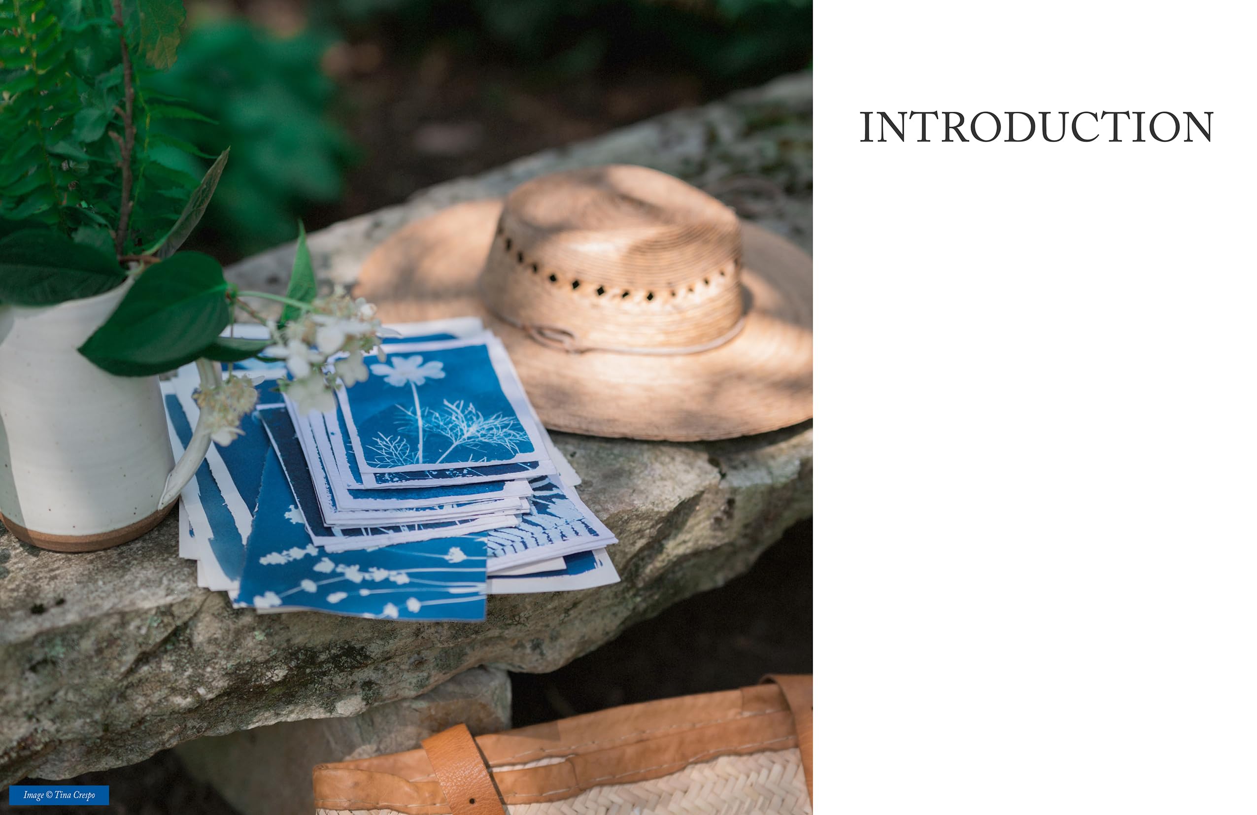 Botanical Cyanotype: A Guide to the Art of Sun Printing