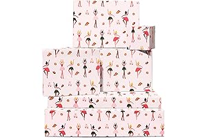 Ballet Wrapping Paper - 6 Pink Floral Ballerina Sheets with Stickers