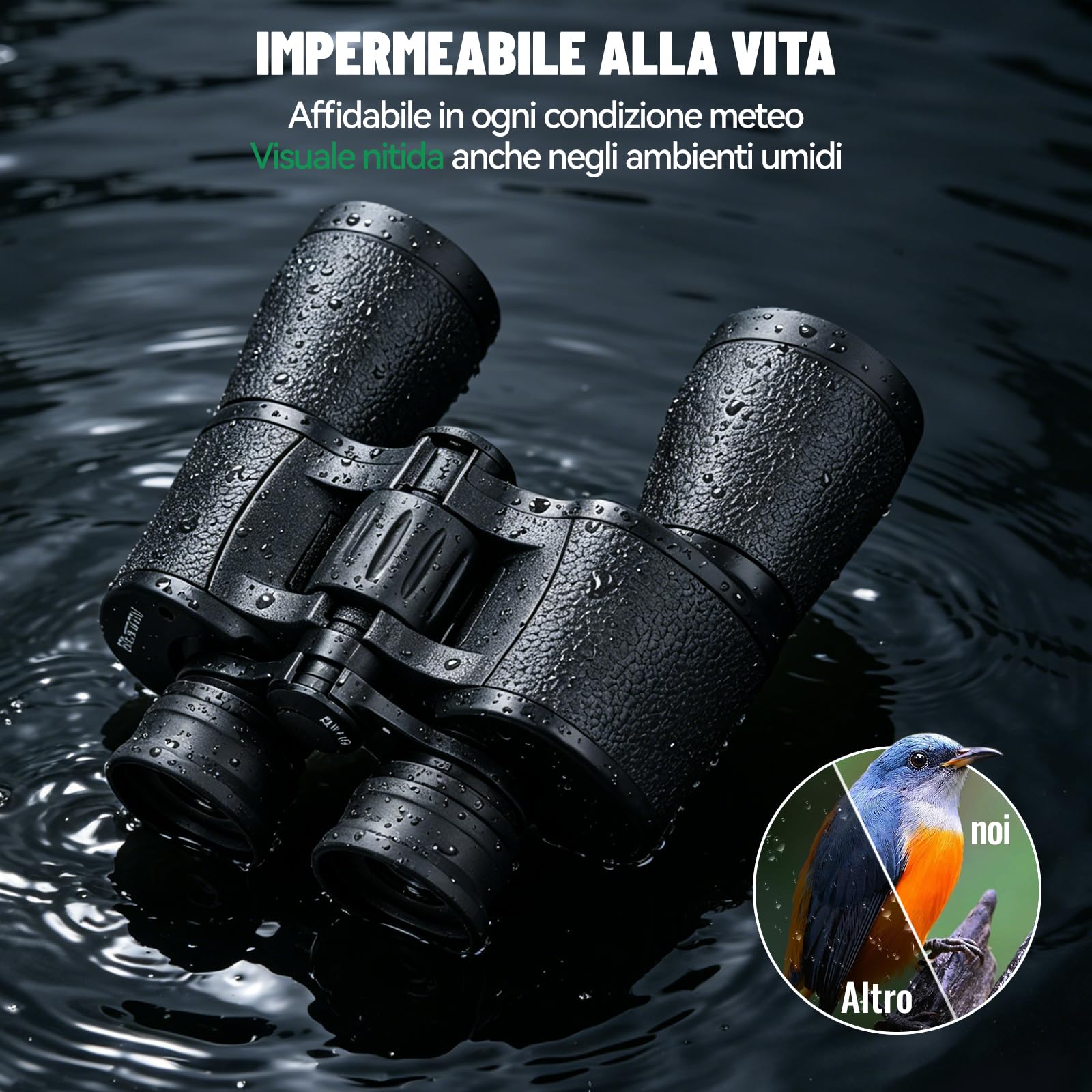 Binocolo 7x50 per Adulti con Visione Chiara, Binocolo Compatto per Birdwatching Caccia Viaggi Partite di Calcio Osservazione Delle Stelle con Custodia e Tracolla