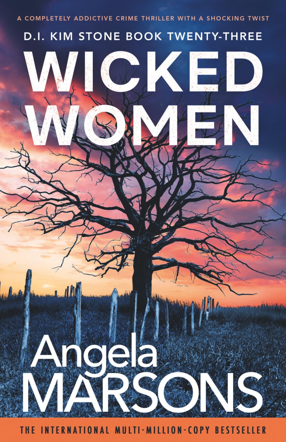 Wicked Women: A completely addictive crime thriller with a shocking twist: 23 (Detective Kim Stone)