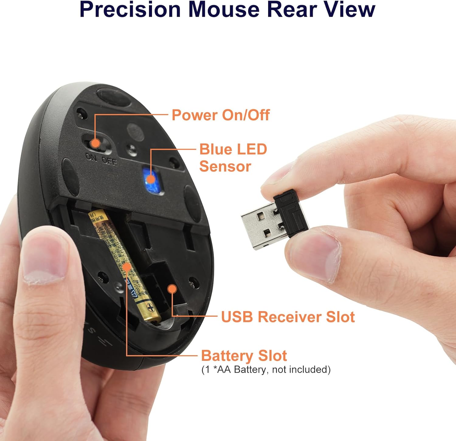 Bottom view of mouse showing battery and USB receiver slots