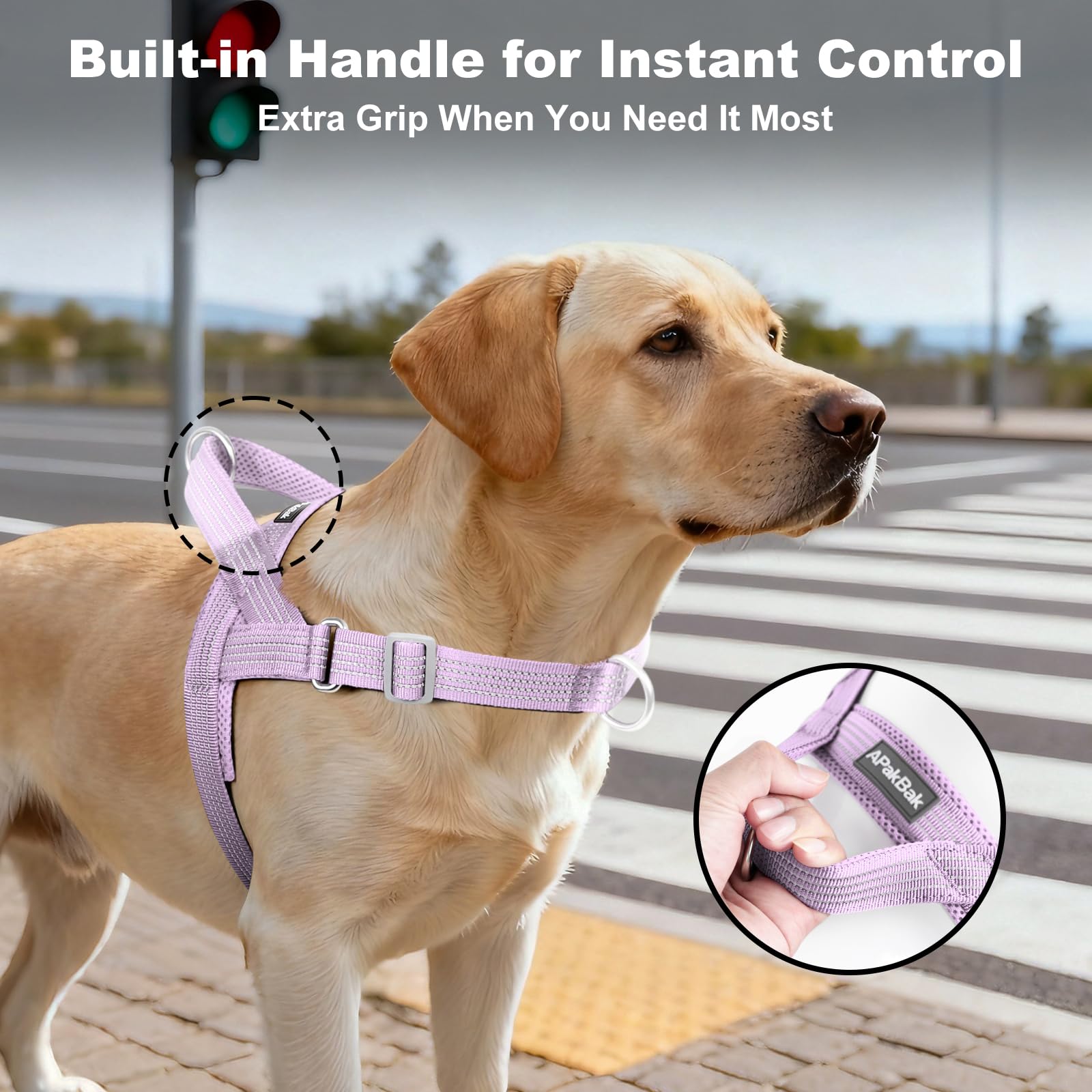 APakBak No Pull Dog Harness with Handle, Adjustable Soft Mesh Padded Reflective Walking Harness with Front Clip for Small Medium Large Dogs – Quick Fit No Escape for Training and Hiking (Purple, L) - image 3