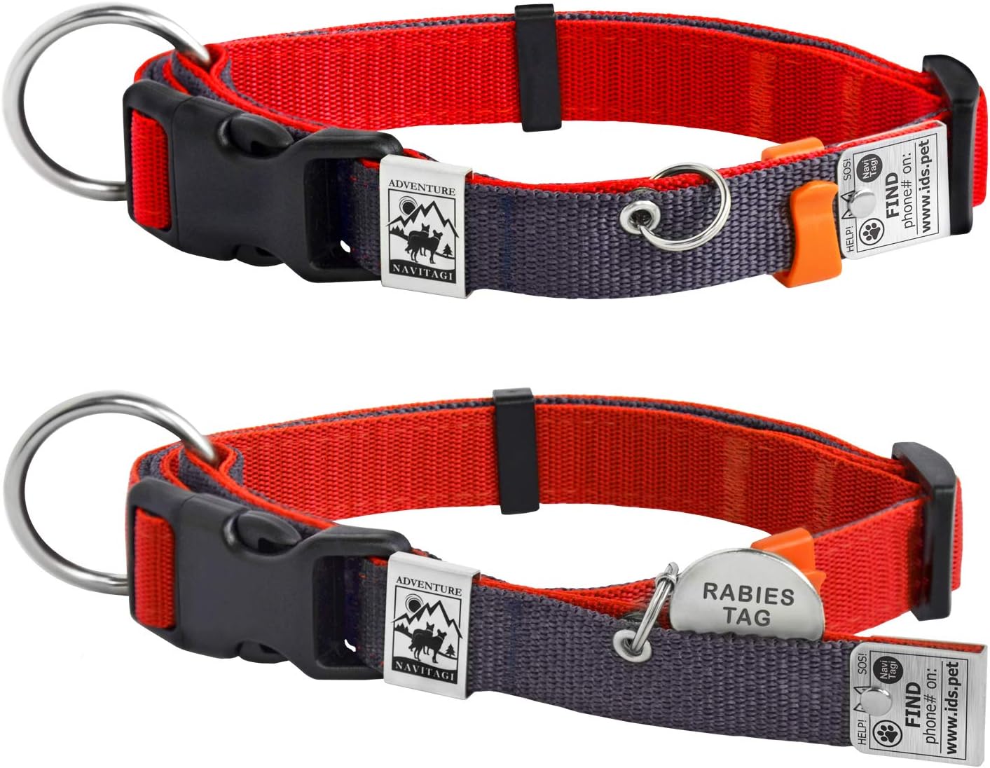 dog collar license
