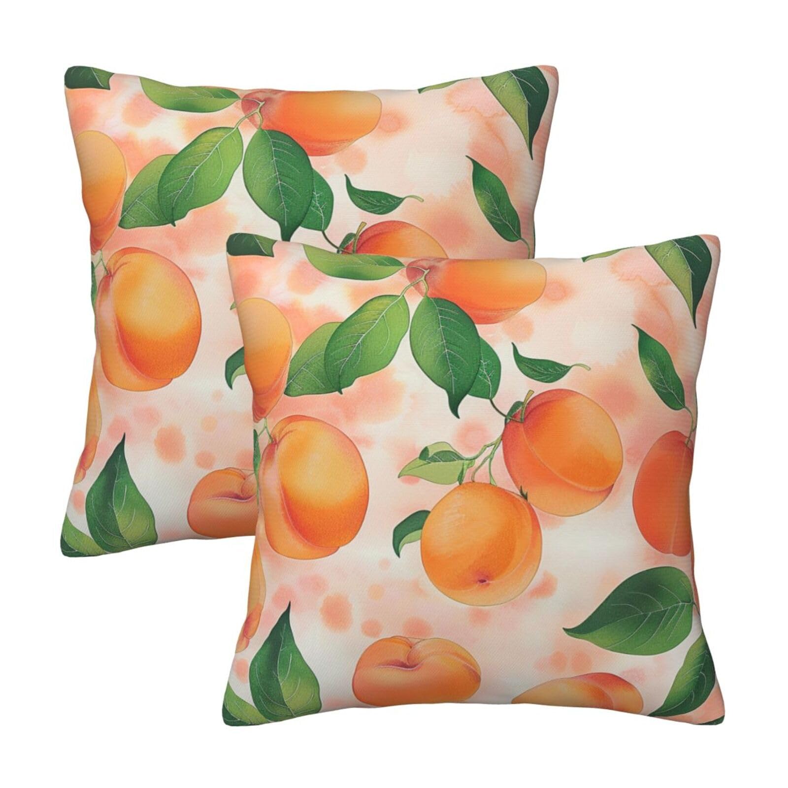 Peach Throw Pillow Cases 2 Pack Square Pillowcases Soft Pillow Protectors for Couch Livingroom Sofa Bed Office Car,50x50 CM