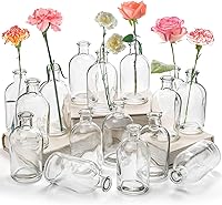 YOUEON 16 Pack Clear Glass Bud Vases Bulk - Small Flower Vases for Weddings, Centerpieces, Home Decor & Events