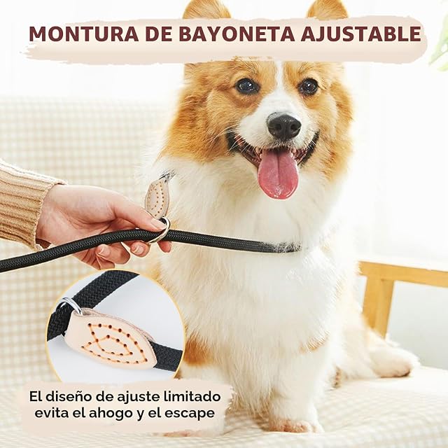 Foto 2 de 8 de Correa Perro Correas para Perros Correa Perro Pequeño 1.8M Ajustable Resistente en Material Tejido para Paseo…