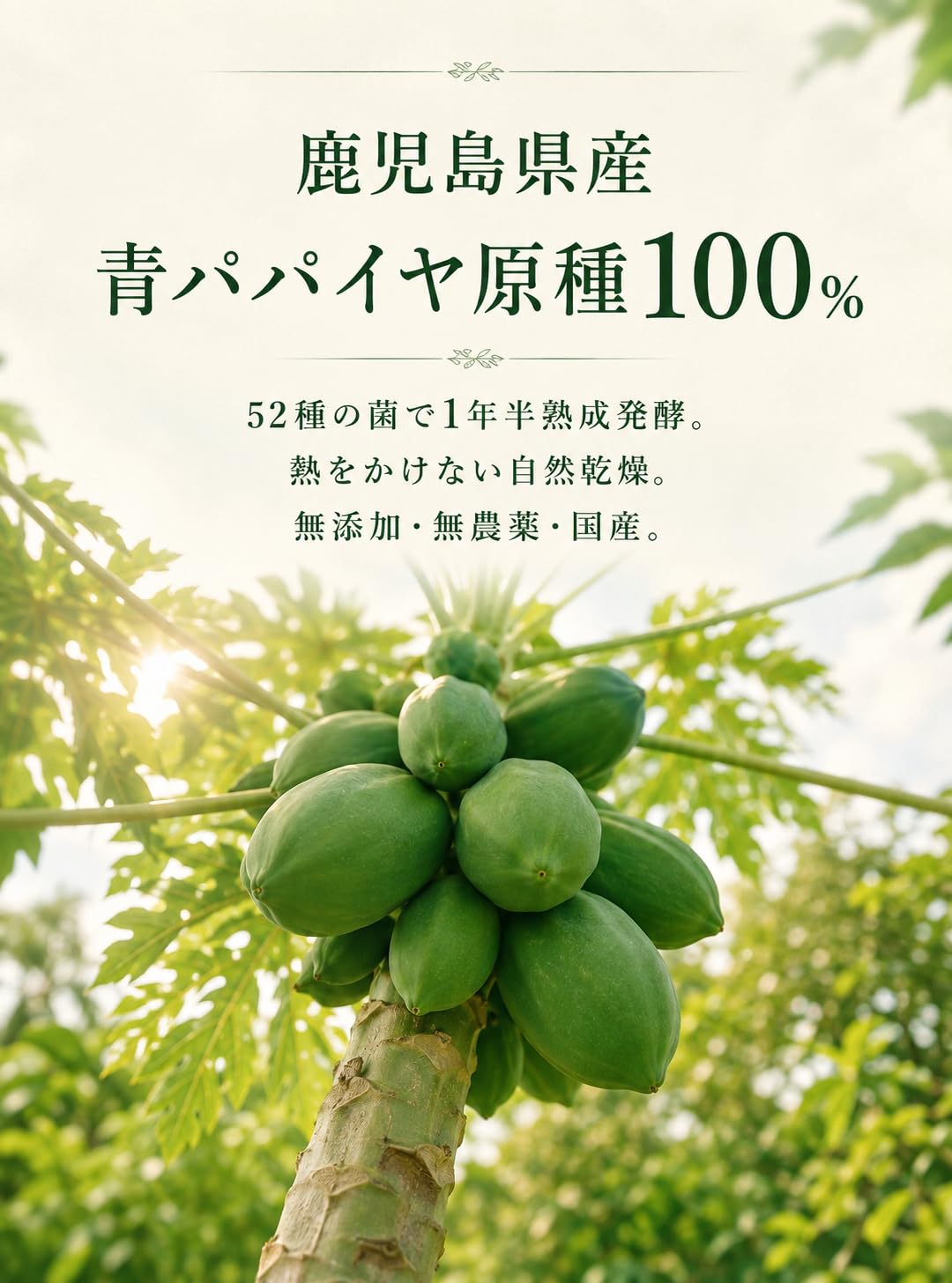 Amazon | 【1年半発酵・非加熱・国産】生きてる 青パパイヤ酵素 3g×30