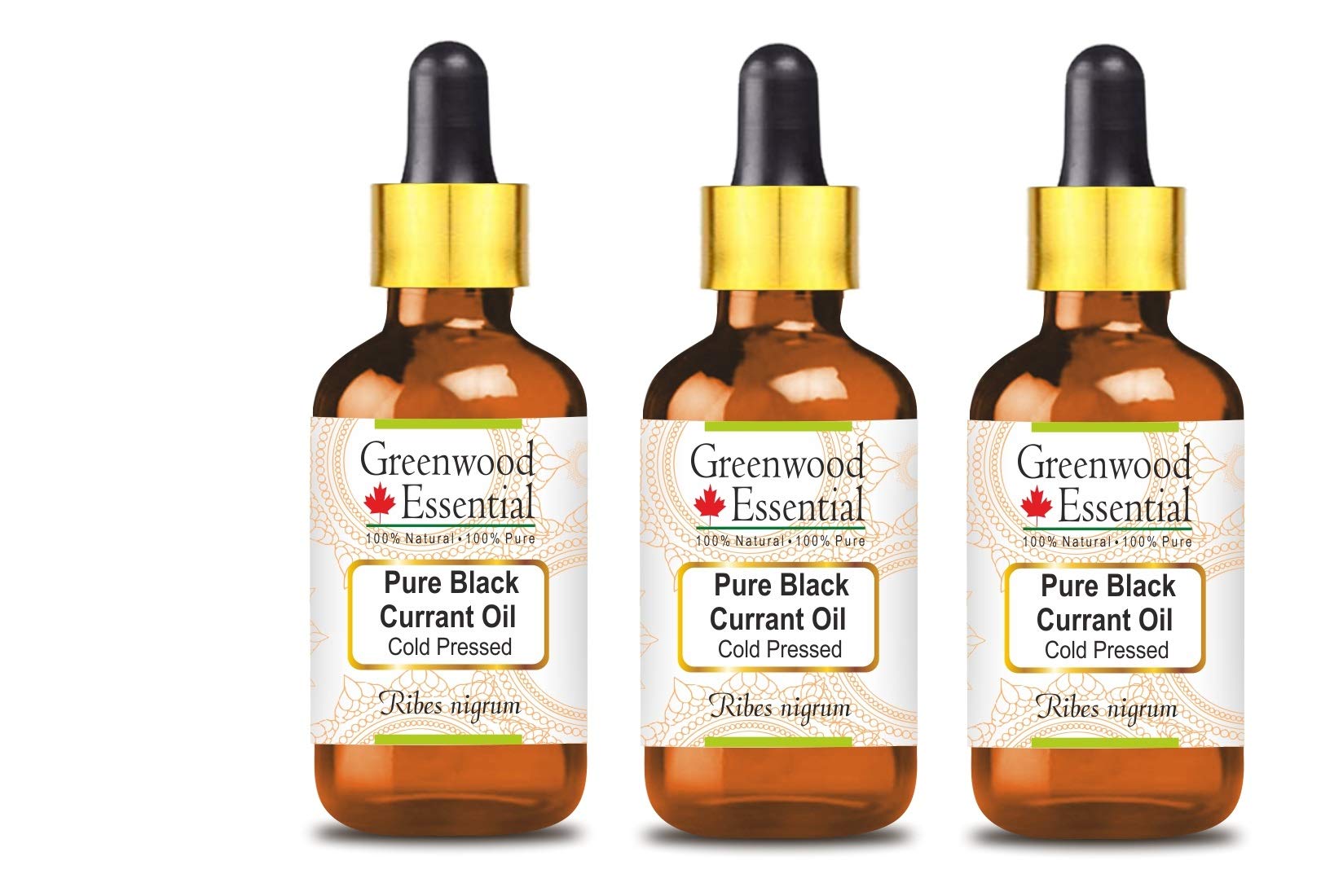 Greenwood Essential Naturreine Schwarzes Johannisbeeröl (Ribes nigrum) mit Glas Tropfer Kaltgepresst 100ml X 3 (10 oz)