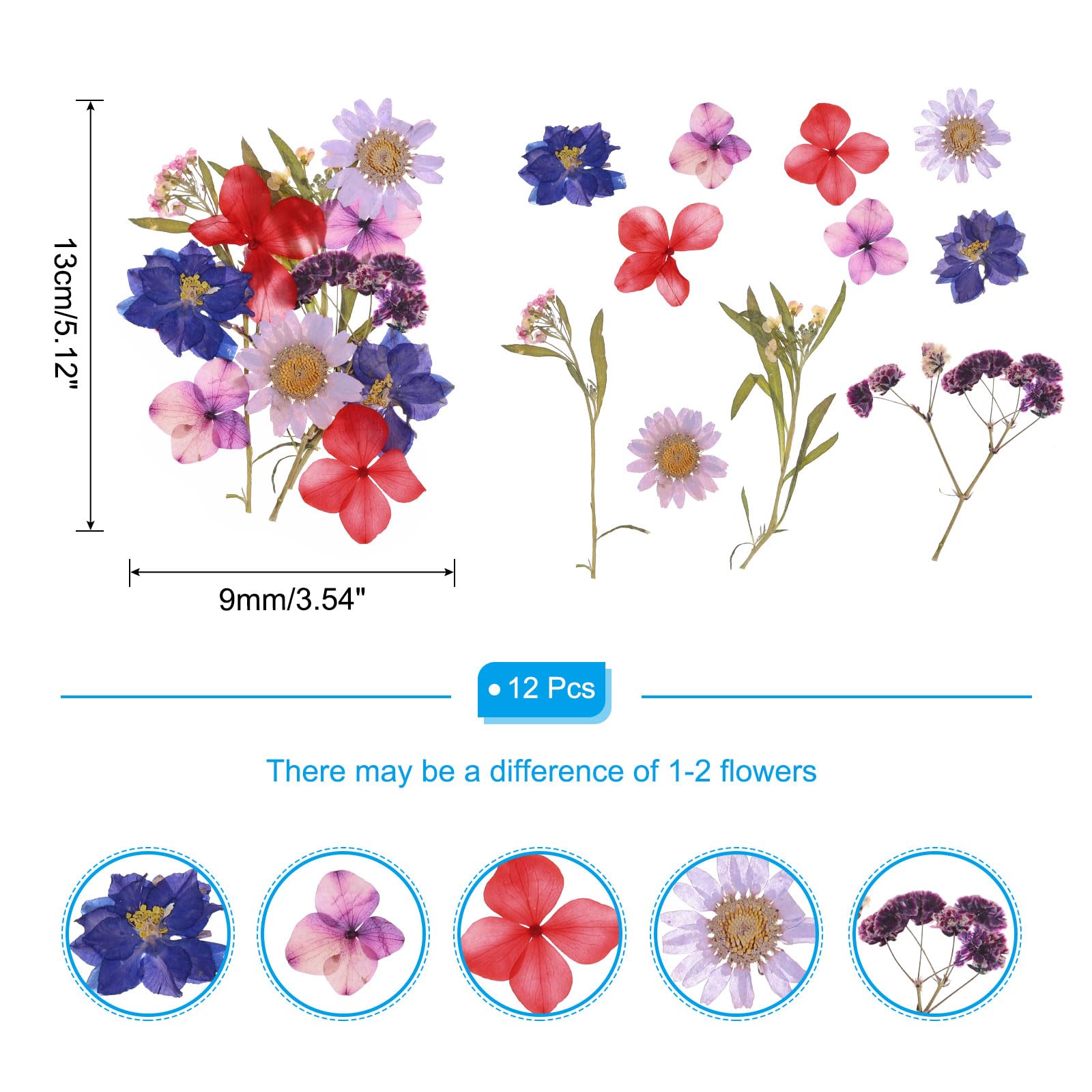 PATIKIL Dried Pressed Flowers - Image 2