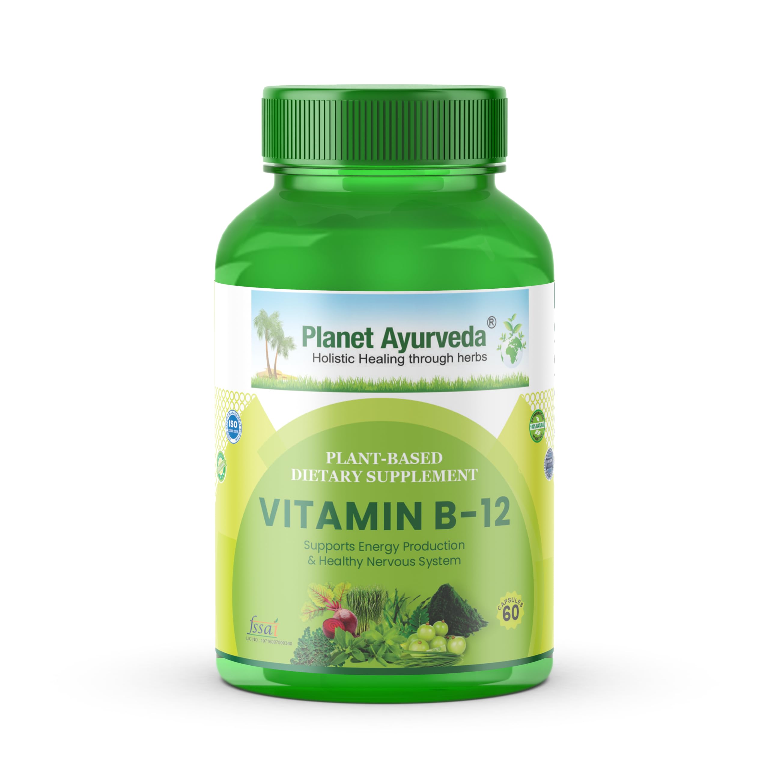Planet Ayurveda Plant Based Vitamin B12 Supplement for Men & Women| Boost Energy Level | Improves Cognitive Function | Sustains Eye health - 60 Vegetarian Capsules (B0CNGZHHWH) Amazon Price History, Amazon Price Tracker
