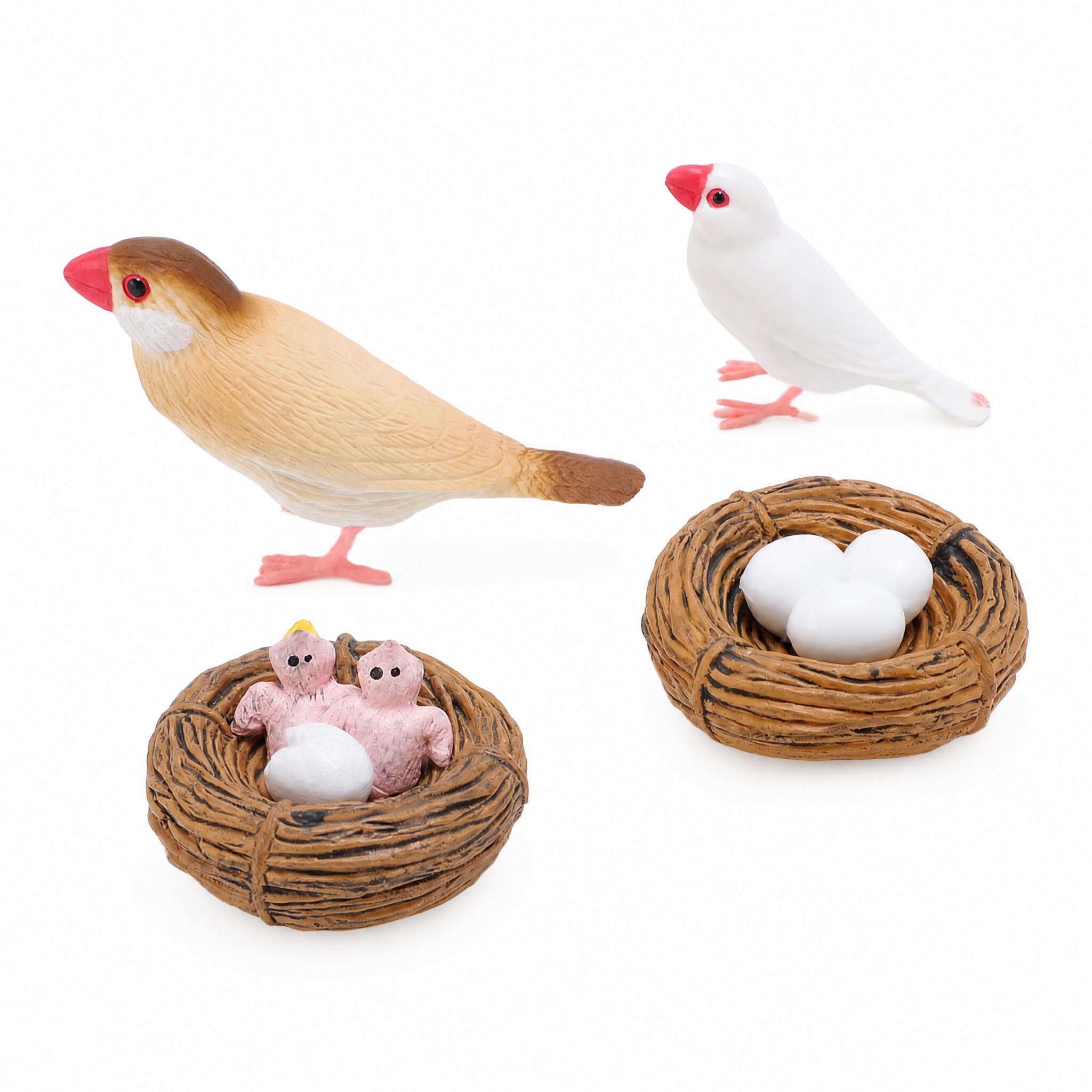 KUIDAMOS Educational Bird Life Cycle Figures Realistic Animal Growth Toys for Kids, PVC Model Set for Early Childhood Education
