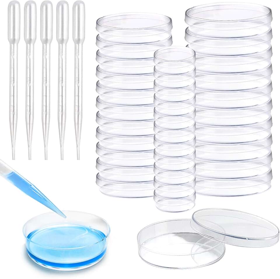 Amazon.co.uk petri dishes