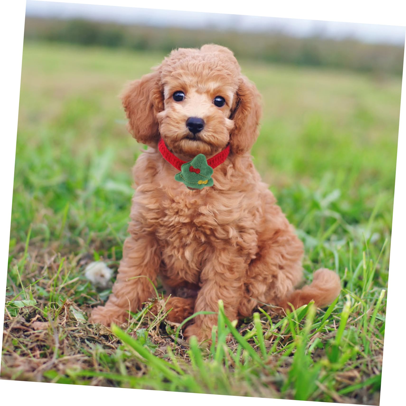 BESPORTBLE Collier de Noël Tricoté pour Chat Ajustable pour Chiot Collier pour Animal de Compagnie avec Noeud