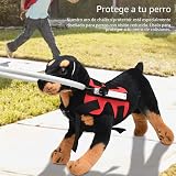 Ver la foto 5