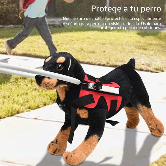 Foto 5 de 7 de Blind Dog