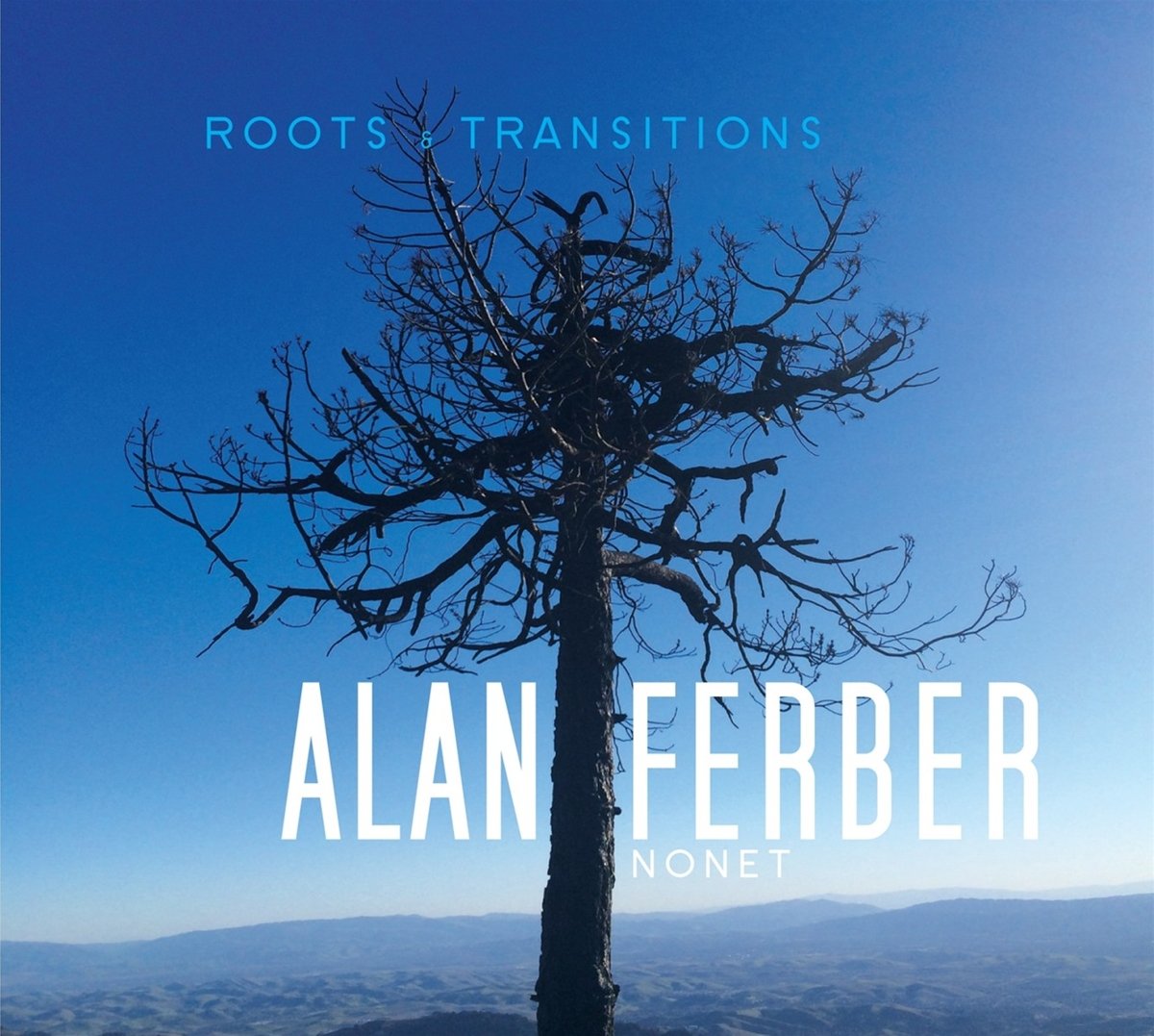 Roots & Transitions [Audio CD] FERBER,ALAN