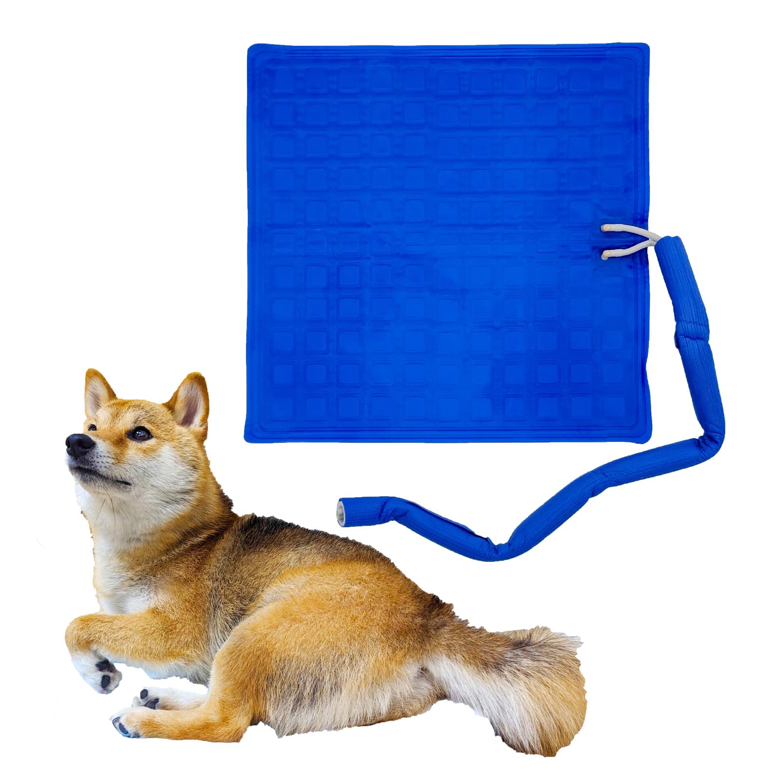 Amazon | FUNKS ココクール 通常マットのみ・54cm×55cm ペット 冷却