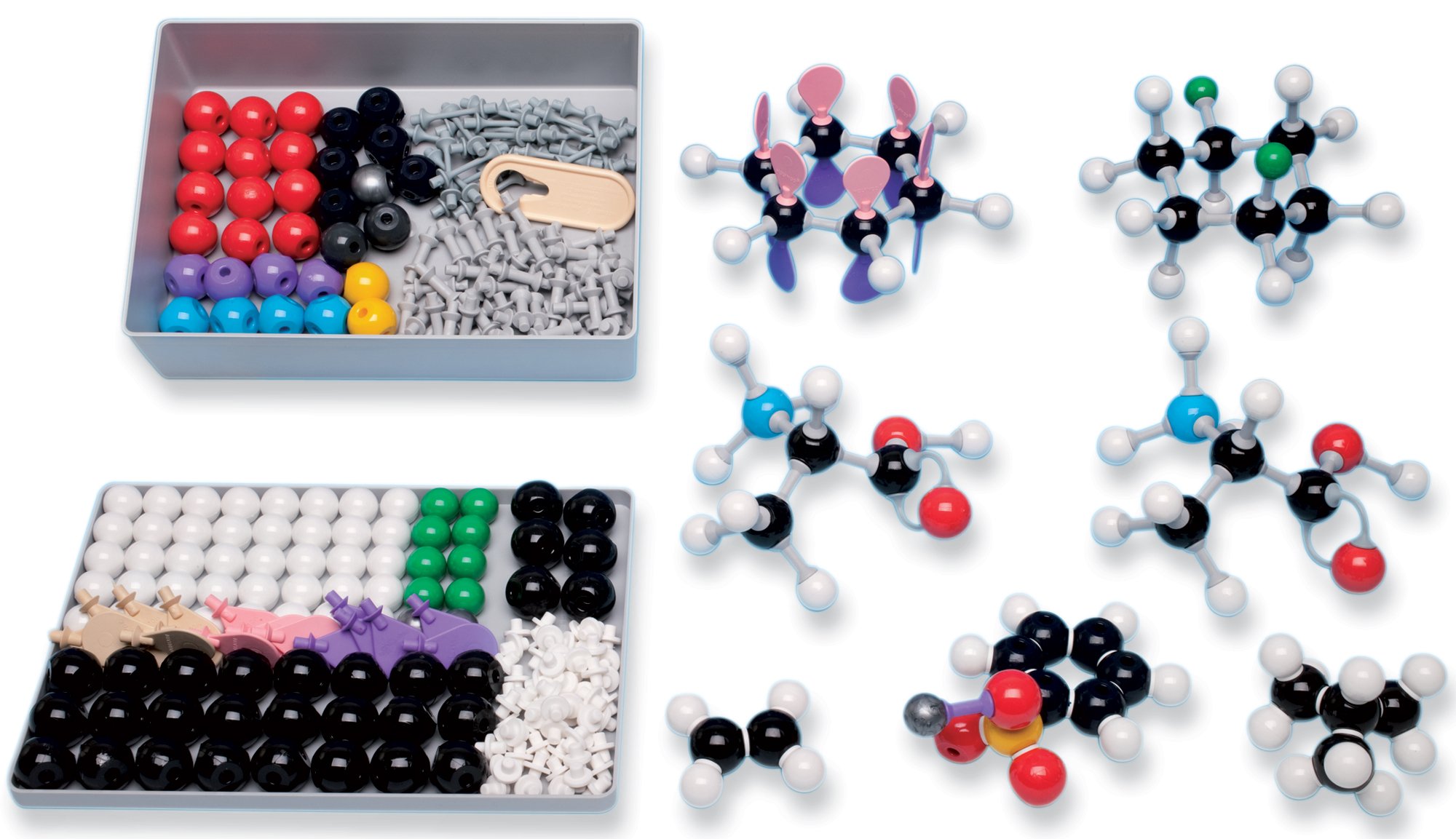 花の構造模型セット　P-3［定価¥24,000］ 花の構造模型セット P-3［定価¥24,000］