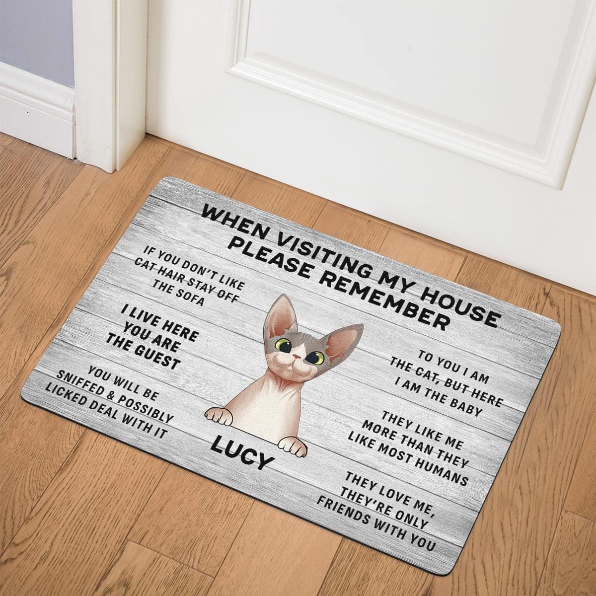 Personalized When Visiting My House, Please Remember Doormat - Custom Cat's Name Door Mat, Funny Cat Doormat, for Cat Lovers Front Door Rug, Non-Slip Decorative Gift Home Rugs