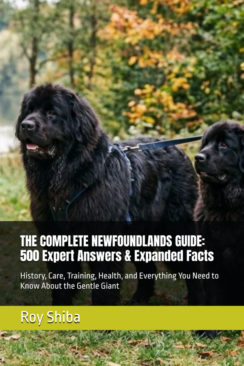 THE COMPLETE NEWFOUNDLANDS GUIDE: 500 Expert Answers & Expanded Facts: History, Care, Training, Health, and Everything You Need to Know About the Gentle Giant (The Complete Dog Guide Series)