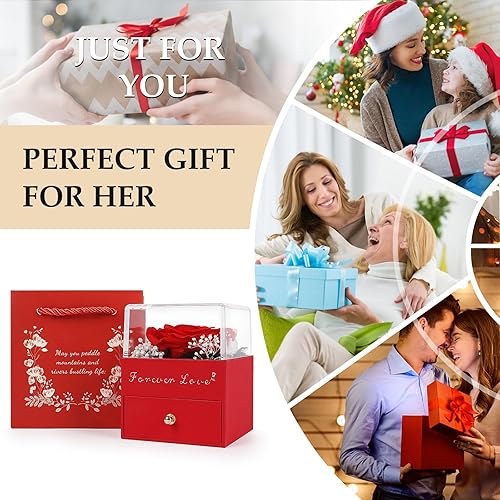 Miniatura 6 de Regalos para el día de San Valentín para ella, rosa real preservada con collar, regalos para el día de San Valentín para mujeres, flores eternas,