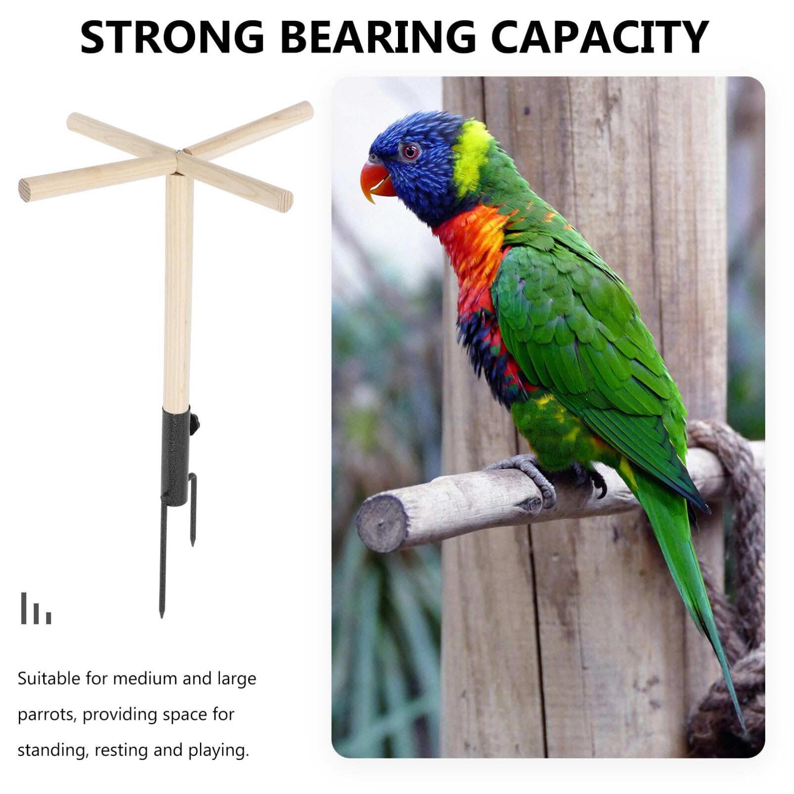 Trespolo in Legno per Pappagalli e Galline, Supporto Naturale | Struttura Ferro, per Gioco e Esercizio, Finitura Originale, Adatto a Uccelli e Polli Domestici