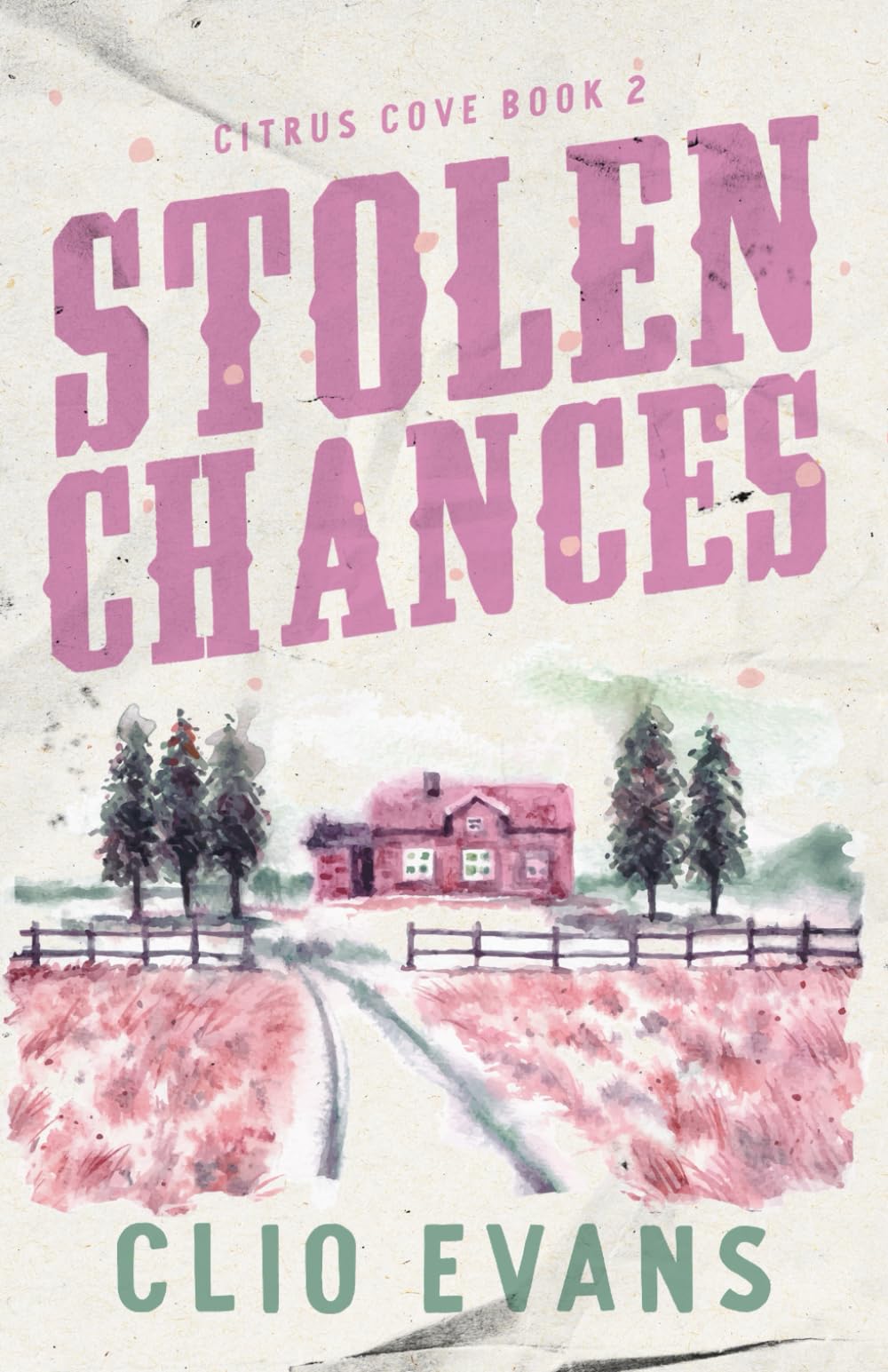 Stolen Chances: A Single Mom, MMF, Small Town Romance Suspense (Citrus Cove)