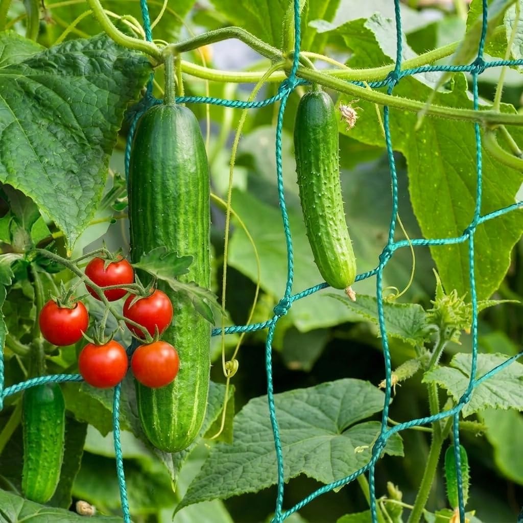 Trellis Netting, Heavy-Duty Garden Grow Netting for Climbing Plants, Outdoor Indoor Net for Cucumber, Tomatoes, Beans, Clematis, Fruits & Vegetables, Climbing Vining Plants (32.8' x 6.6'Ft)
