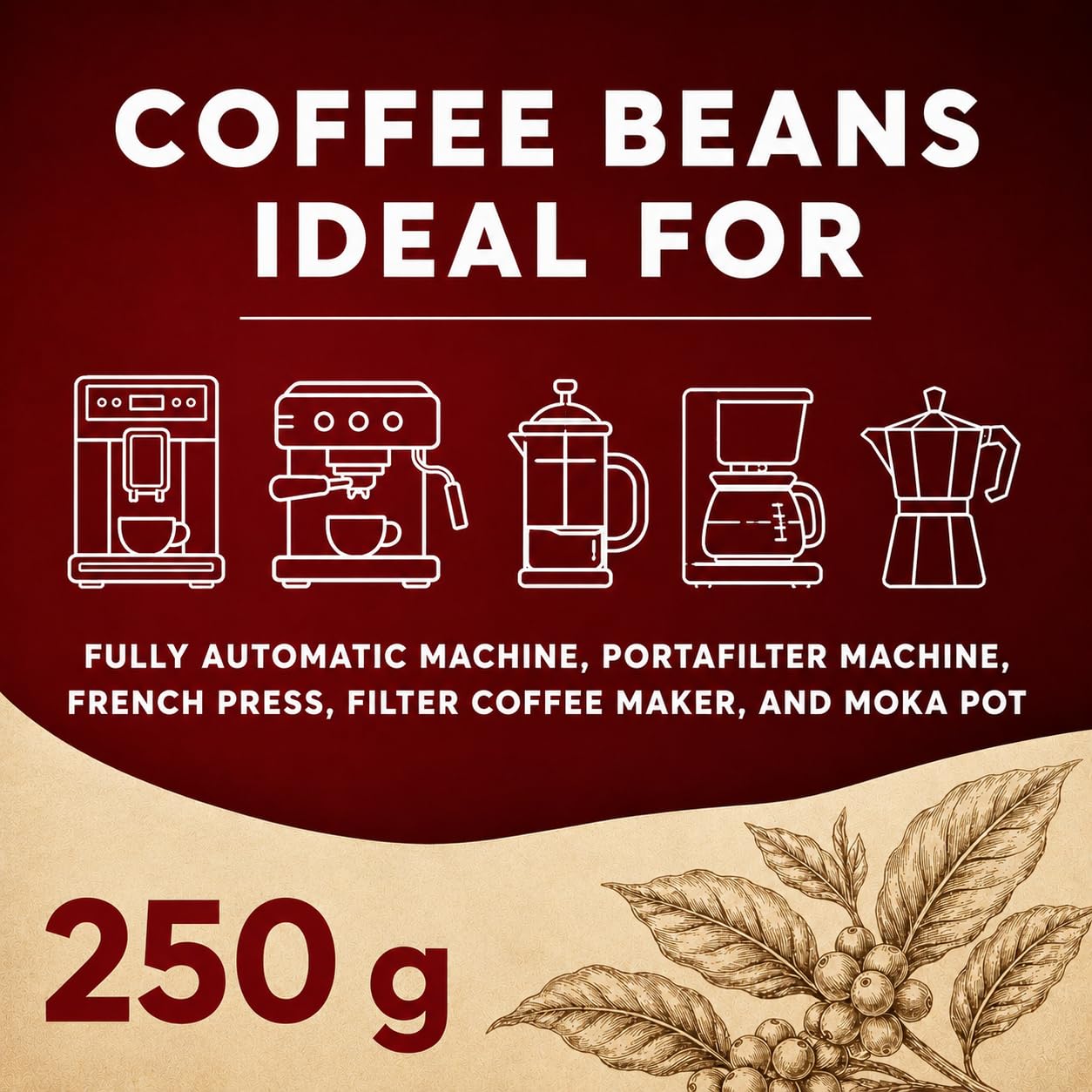 KUGA Caffè Crema Kawa ziarnista 250 g, całe ziarna, belgijskie palenie, 50% Arabica & 50% Robusta, łagodna, kremowa, do ekspresu automatycznego, kolbowego, French Press i kawiarki