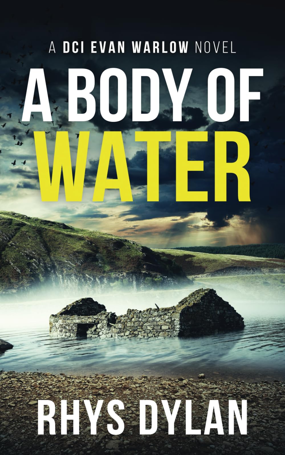A Body Of Water : A DCI Evan Warlow Crime Thriller