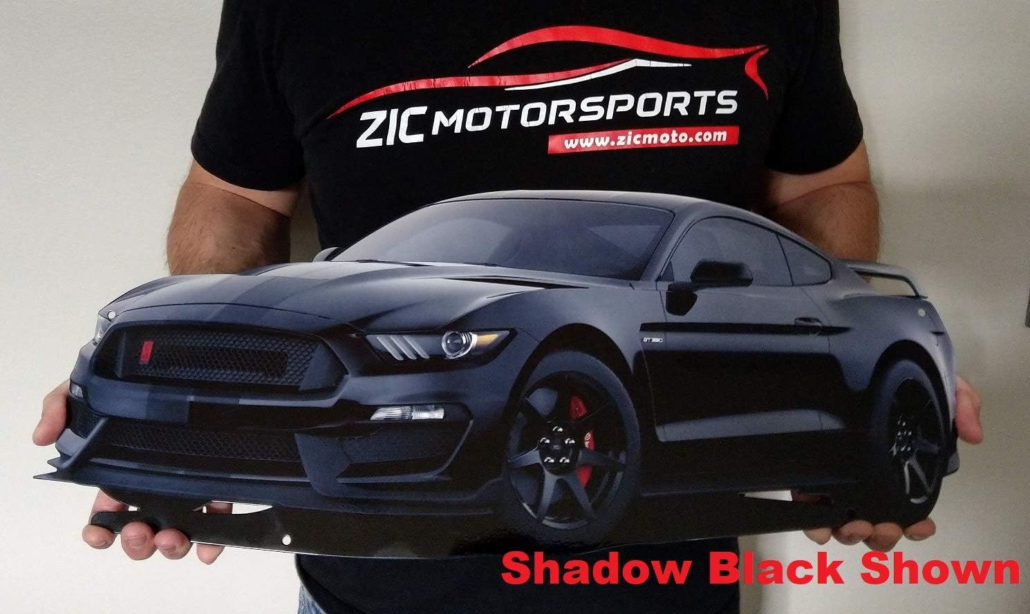 ZIC Motorsports 2019 Ford Mustang Shelby GT350R Car Cutout Heavy Duty Metal Garage Wall Sign - 23 X 10 - Shadow Black (Shadow Black - Black/Race Red Accent Stripe)