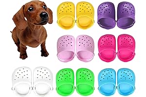 Light-Up Dog Crocs: Illuminate Your Dog's Style