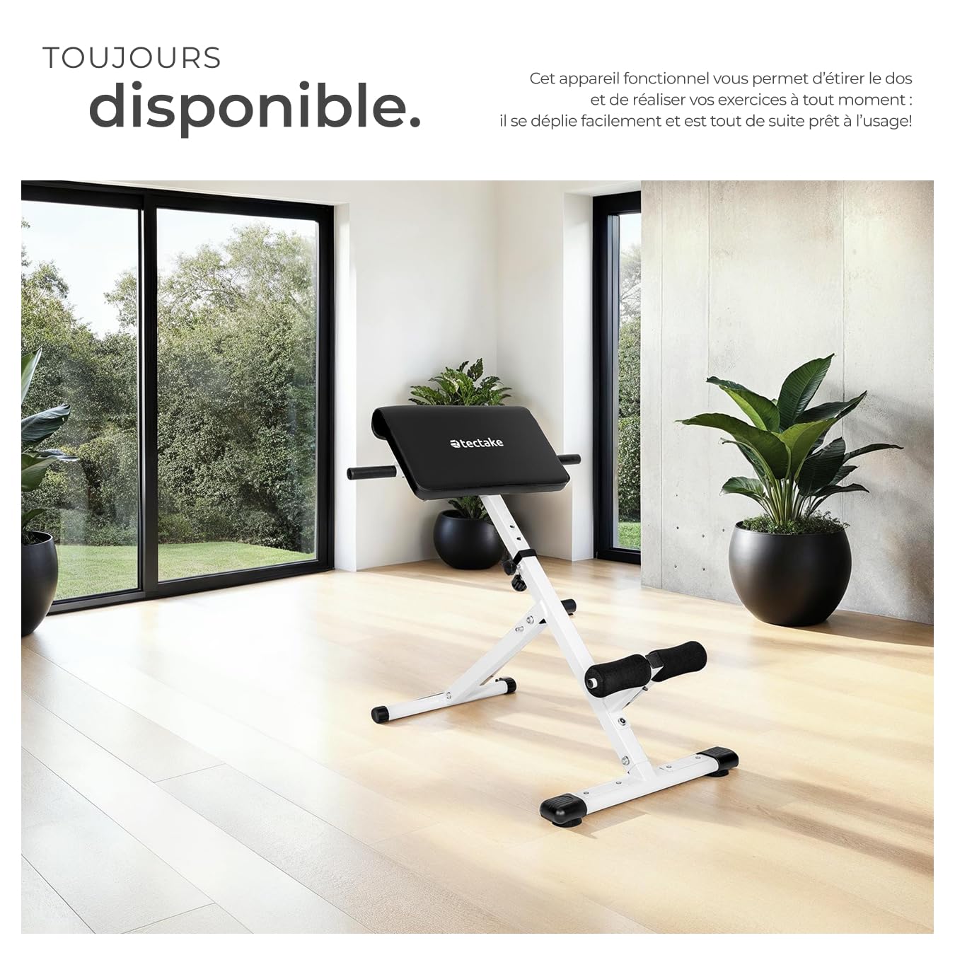 tectake® Banc de musculation pour Dos et Abdominaux, Réglable sur 5 niveaux de Hauteur, Banc lombaire pliable Hyper-extension Sport Musculation maison Appareil abdominaux, Diverses tailles disponibles