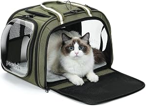 Pecute Bubble Cat Carrier avec fenêtre claire pour les chats et chiots, vert, L 4-way ouverture maille respirante, fermeture éclair verrouillable & tapis lavable, sac de transport