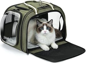 Pecute Big Cat Carrier, Zero Anxiety Car | 5mm Anti-deformation Steel Structure Transport Bag, Privacy Roller Blind, Bubble Window, Size L, Green