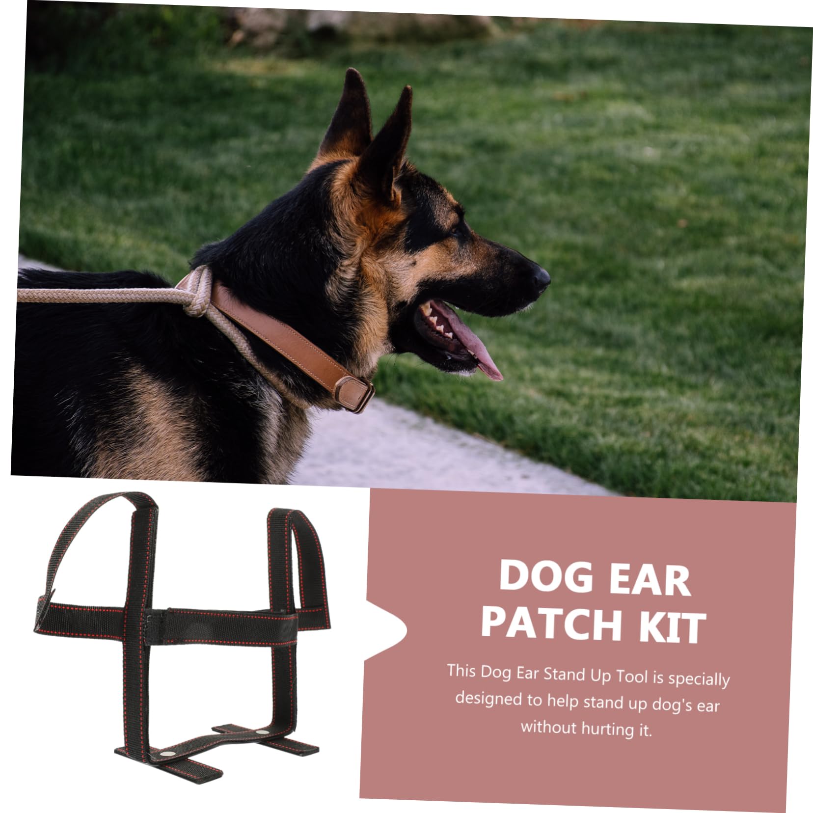 3 Sets Ohraufrichter Für Haustiere, Hundeohren Aufsteller, Welpenohren, Ohr Set, Hundeband Für Hundeohren, Hundeohr Werkzeug, Hundeohrpflege, Hundeohrstütze, Hundeohr Band Set,