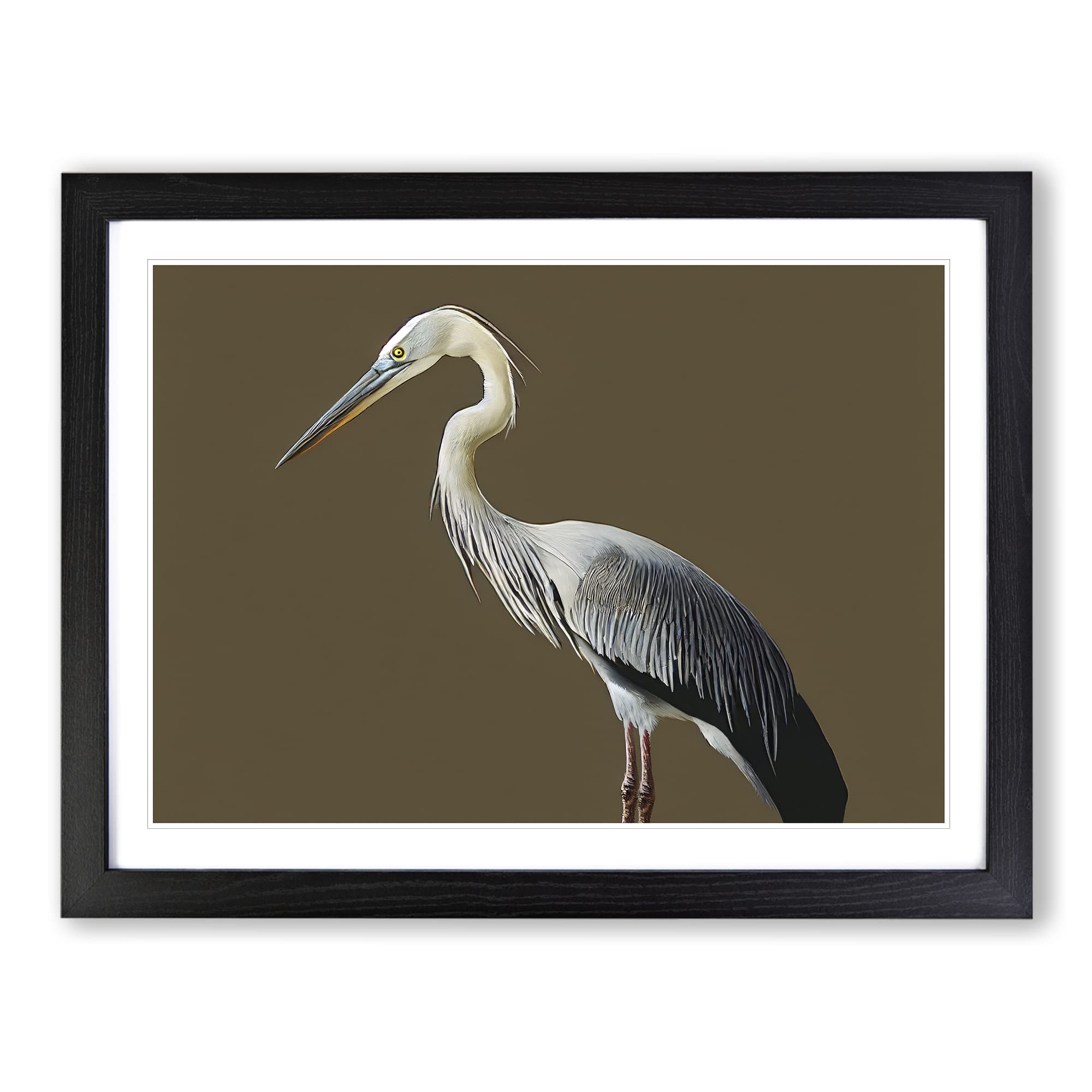 A Head Turning Heron Bird Framed Print, Black, A3 (46 x 34 cm)