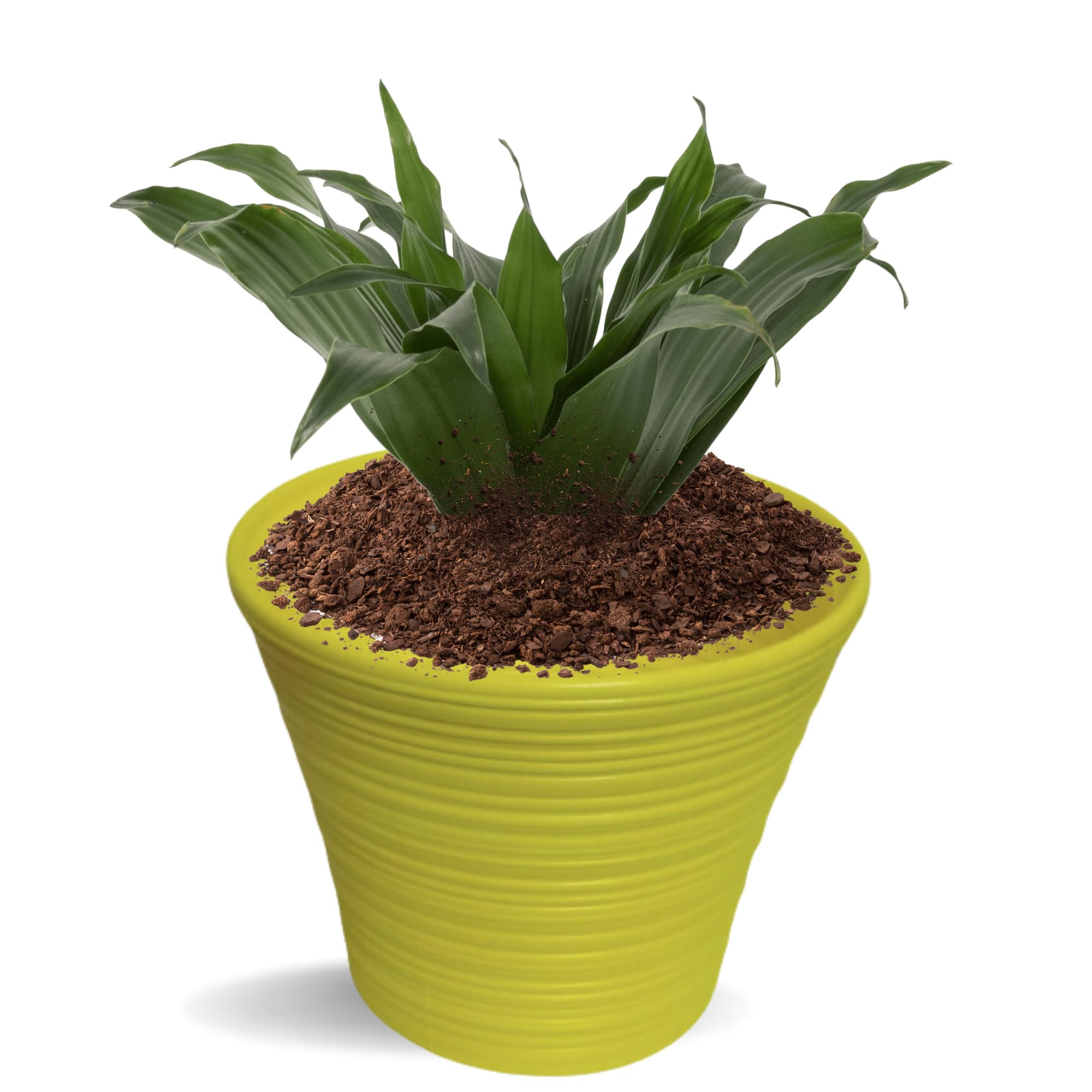 MUDDSTYLES Plastic Leno Pot 12-Inch Flower Pots for Garden Plant Container Set (Set of 3, Plastic) (Yellow) (B0CB1NNK45) Amazon Price History, Amazon Price Tracker