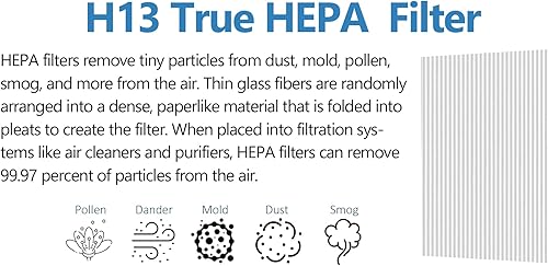 Miniatura 4 de Cleair 230 - Filtro de repuesto para purificador de aire, filtro HEPA H13 de 3 etapas, elimina el 99.97% de polvo, caspa de mascotas, humo, polen