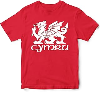 Cymru Dragon Rugby Kids T Shirt, Wales Birthday Gifts for Welsh Baby Rugby Fan, Welsh Flag Tournament Gift Idea, Nations Outfit for Boys and Girls