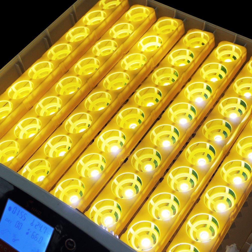 Incubatrice per 56 Uova, girauova Digitale Completamente Automatica, incubatrice per pollame, per polli, quaglie, Anatre, oche